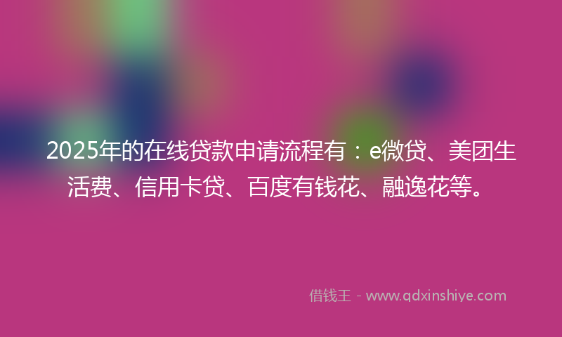 2025年的在线贷款申请流程有：e微贷、美团生活费、信用卡贷、百度有钱花、融逸花等。