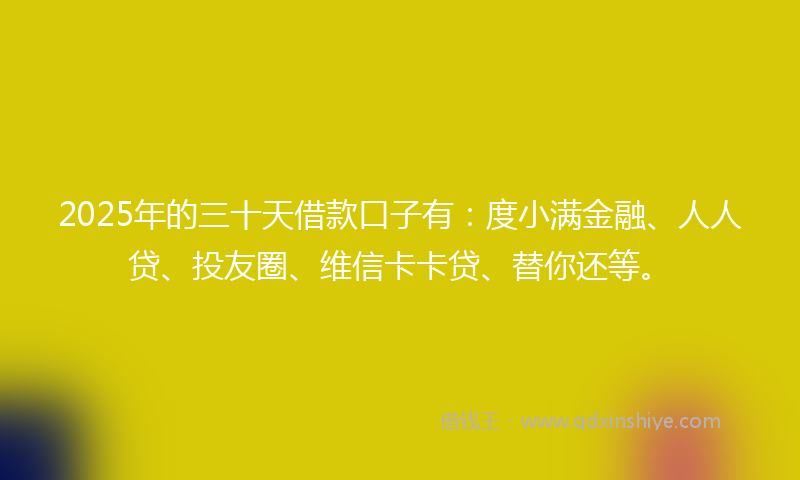 2025年的三十天借款口子有：度小满金融、人人贷、投友圈、维信卡卡贷、替你还等。
