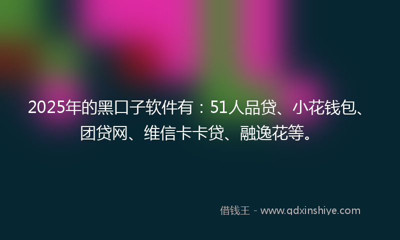 2025年的黑口子软件有：51人品贷、小花钱包、团贷网、维信卡卡贷、融逸花等。