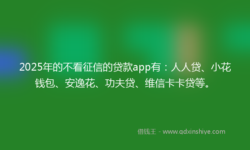 2025年的不看征信的贷款app有：人人贷、小花钱包、安逸花、功夫贷、维信卡卡贷等。