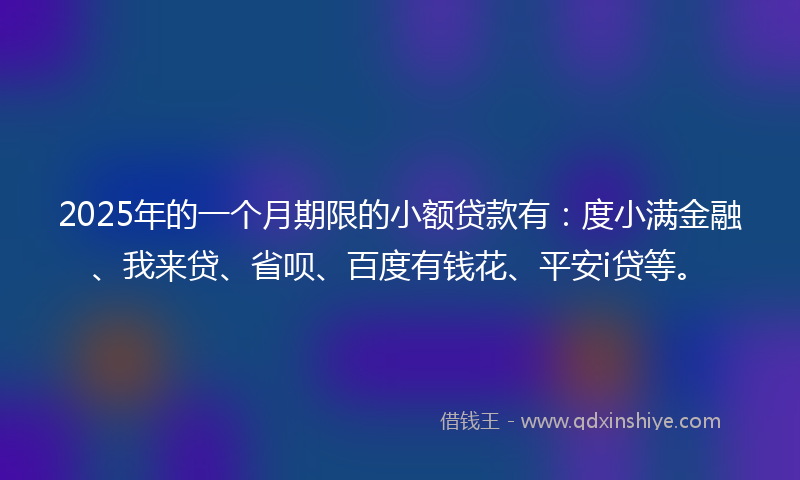 2025年的一个月期限的小额贷款有：度小满金融、我来贷、省呗、百度有钱花、平安i贷等。