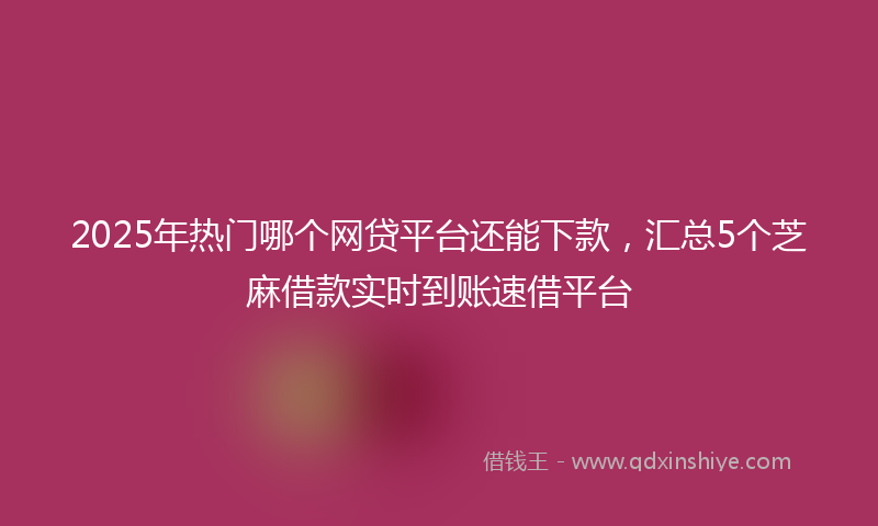 2025年热门哪个网贷平台还能下款，汇总5个芝麻借款实时到账速借平台