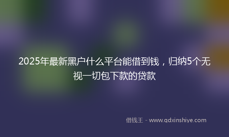 2025年最新黑户什么平台能借到钱，归纳5个无视一切包下款的贷款