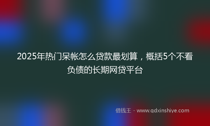 2025年热门呆帐怎么贷款最划算，概括5个不看负债的长期网贷平台