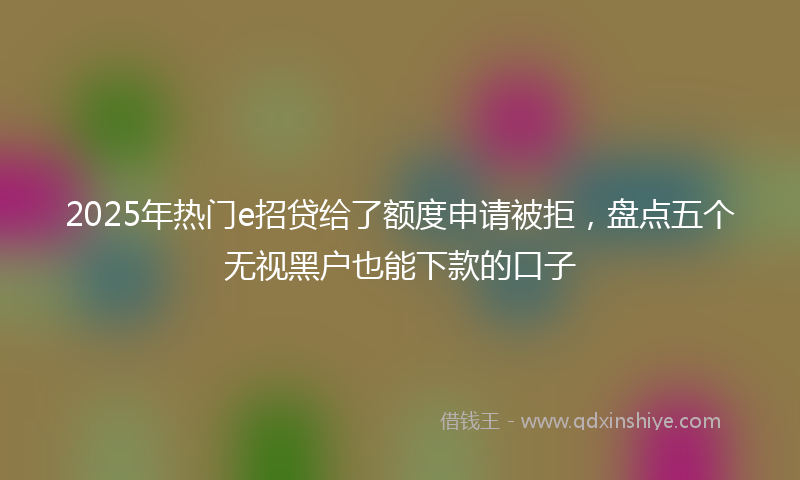 2025年热门e招贷给了额度申请被拒，盘点五个无视黑户也能下款的口子