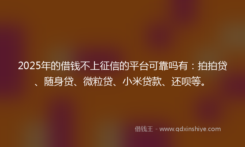 2025年的借钱不上征信的平台可靠吗有：拍拍贷、随身贷、微粒贷、小米贷款、还呗等。