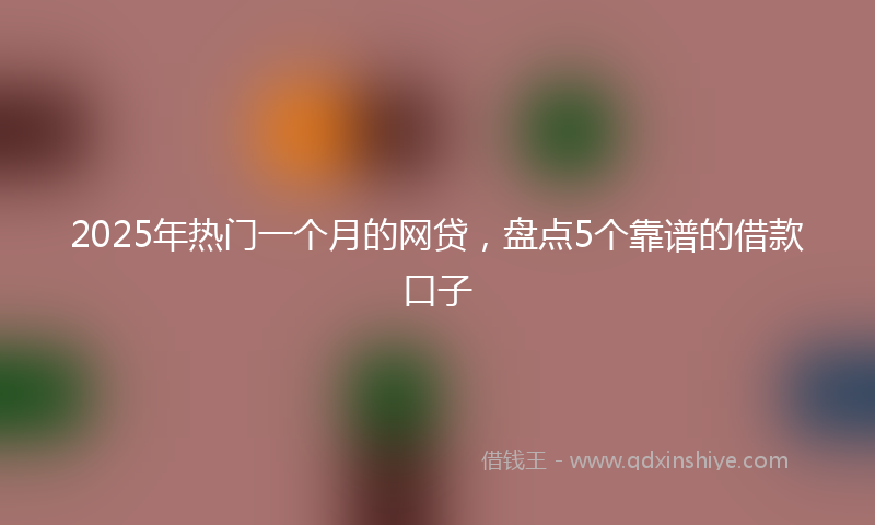 2025年热门一个月的网贷，盘点5个靠谱的借款口子