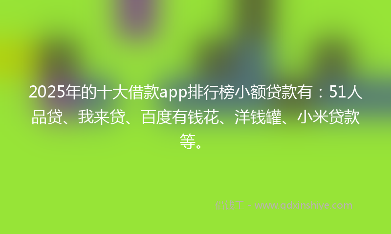 2025年的十大借款app排行榜小额贷款有：51人品贷、我来贷、百度有钱花、洋钱罐、小米贷款等。