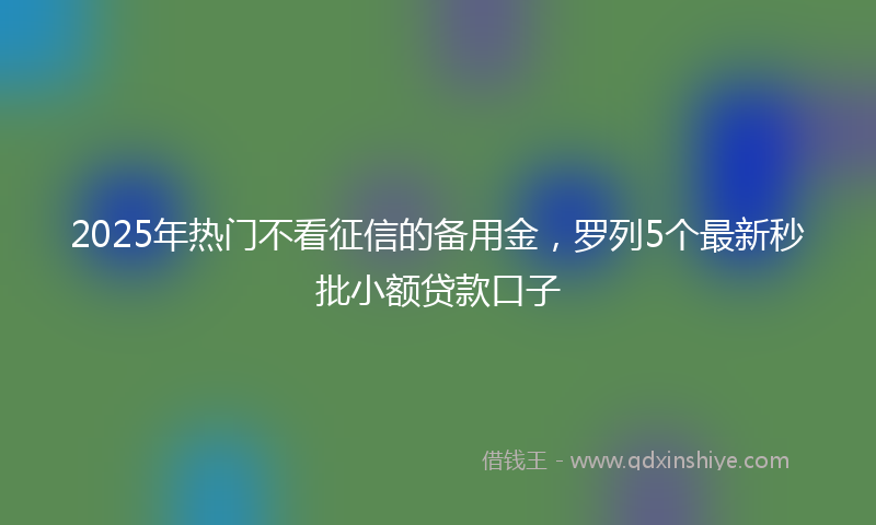 2025年热门不看征信的备用金，罗列5个最新秒批小额贷款口子