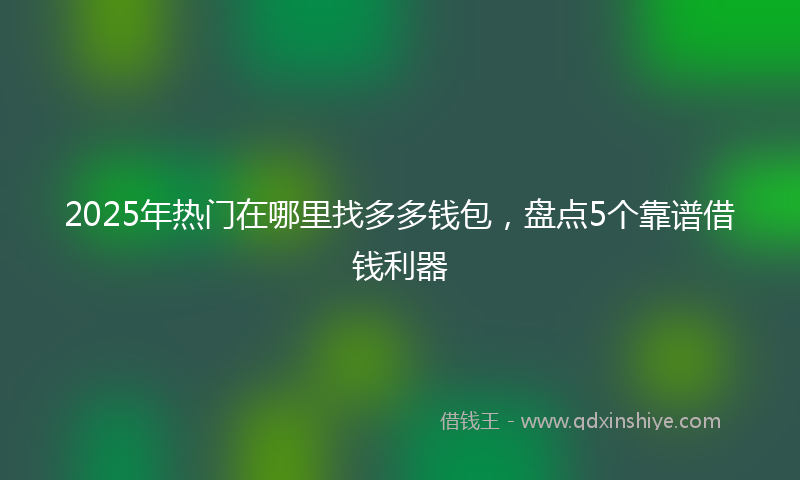 2025年热门在哪里找多多钱包，盘点5个靠谱借钱利器