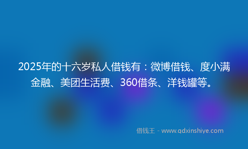 2025年的十六岁私人借钱有：微博借钱、度小满金融、美团生活费、360借条、洋钱罐等。