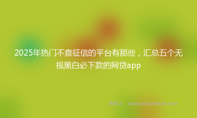 2025年热门不查征信的平台有那些，汇总五个无视黑白必下款的网贷app