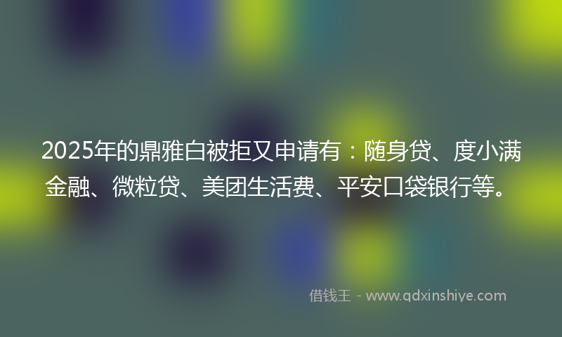 2025年的鼎雅白被拒又申请有：随身贷、度小满金融、微粒贷、美团生活费、平安口袋银行等。