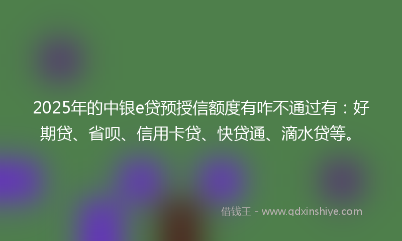 2025年的中银e贷预授信额度有咋不通过有：好期贷、省呗、信用卡贷、快贷通、滴水贷等。