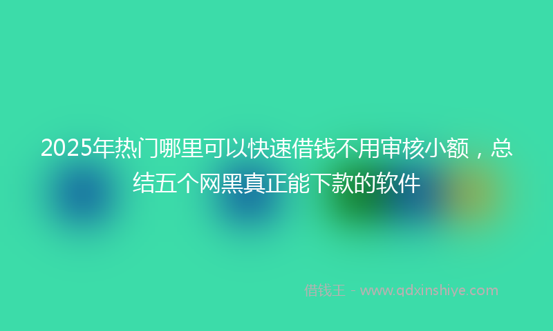 2025年热门哪里可以快速借钱不用审核小额，总结五个网黑真正能下款的软件