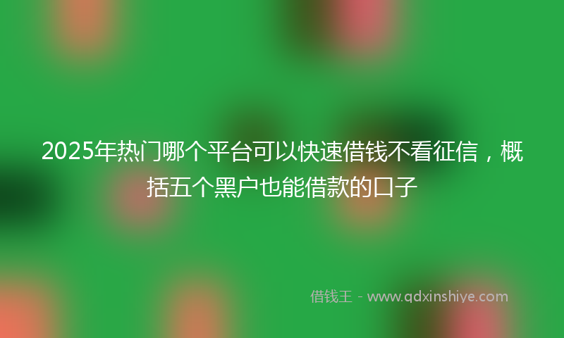 2025年热门哪个平台可以快速借钱不看征信，概括五个黑户也能借款的口子