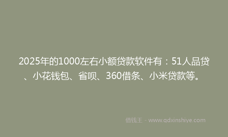 2025年的1000左右小额贷款软件有：51人品贷、小花钱包、省呗、360借条、小米贷款等。