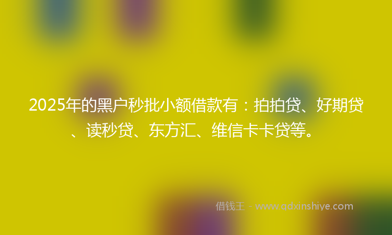 2025年的黑户秒批小额借款有：拍拍贷、好期贷、读秒贷、东方汇、维信卡卡贷等。