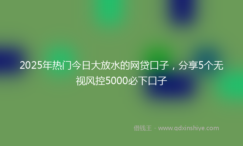 2025年热门今日大放水的网贷口子，分享5个无视风控5000必下口子