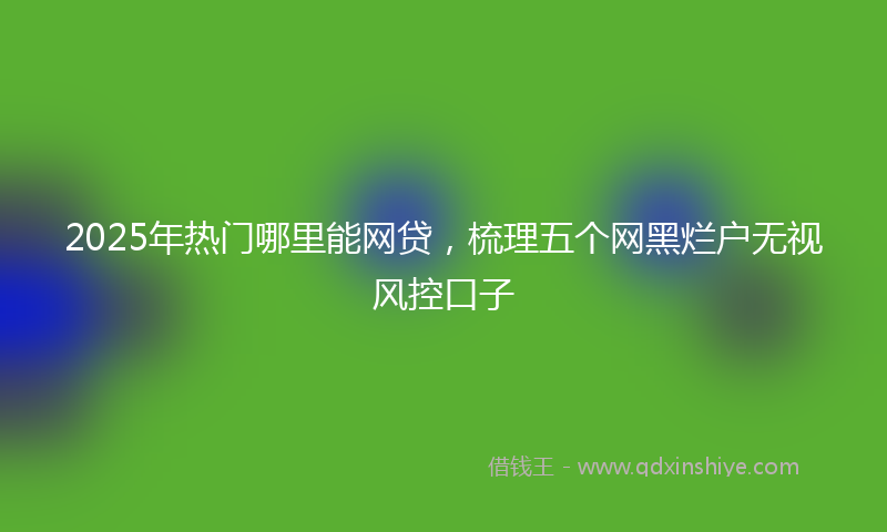 2025年热门哪里能网贷，梳理五个网黑烂户无视风控口子