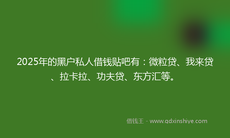 2025年的黑户私人借钱贴吧有：微粒贷、我来贷、拉卡拉、功夫贷、东方汇等。