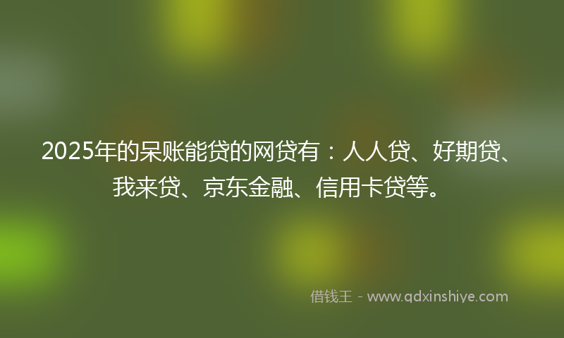 2025年的呆账能贷的网贷有：人人贷、好期贷、我来贷、京东金融、信用卡贷等。