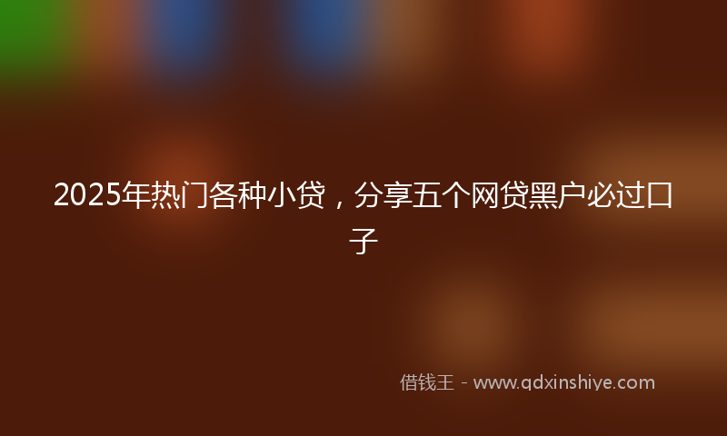 2025年热门各种小贷，分享五个网贷黑户必过口子