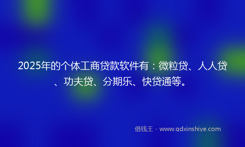 2025年的个体工商贷款软件有：微粒贷、人人贷、功夫贷、分期乐、快贷通等。