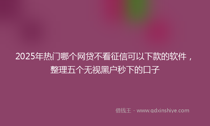 2025年热门哪个网贷不看征信可以下款的软件，整理五个无视黑户秒下的口子