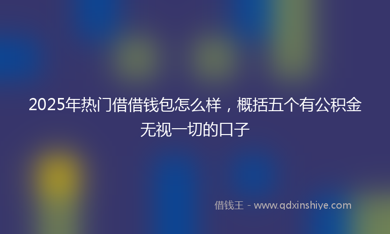 2025年热门借借钱包怎么样，概括五个有公积金无视一切的口子