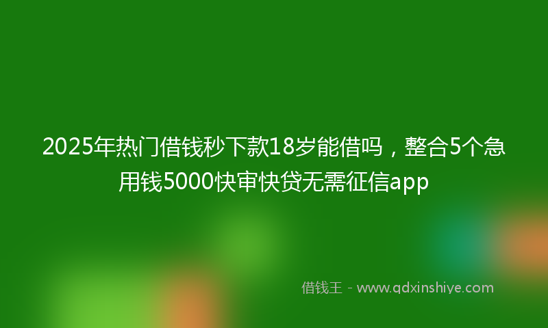2025年热门借钱秒下款18岁能借吗，整合5个急用钱5000快审快贷无需征信app