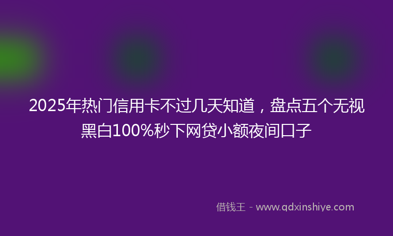 2025年热门信用卡不过几天知道，盘点五个无视黑白100%秒下网贷小额夜间口子