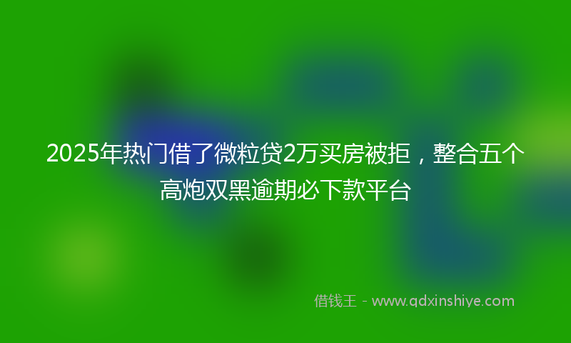 2025年热门借了微粒贷2万买房被拒,整合五个高炮双黑逾期必下款平台