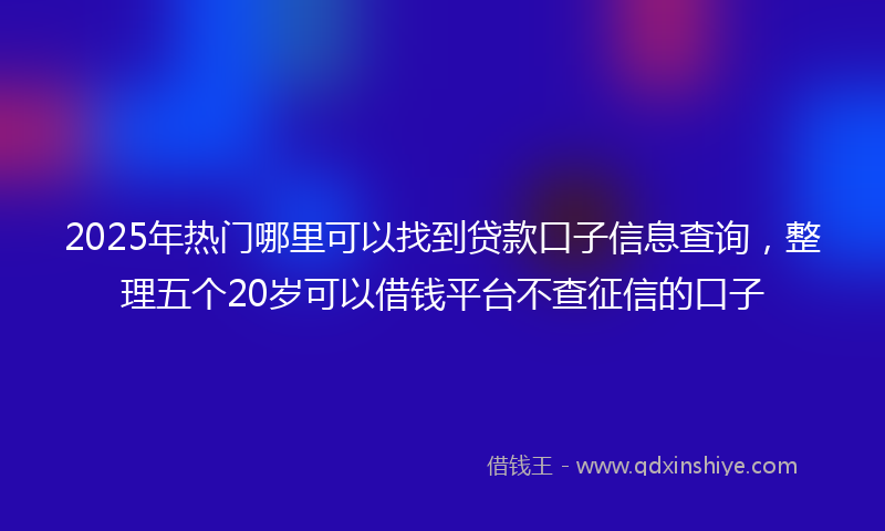 2025年热门哪里可以找到贷款口子信息查询，整理五个20岁可以借钱平台不查征信的口子