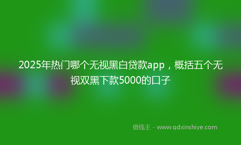 2025年热门哪个无视黑白贷款app，概括五个无视双黑下款5000的口子