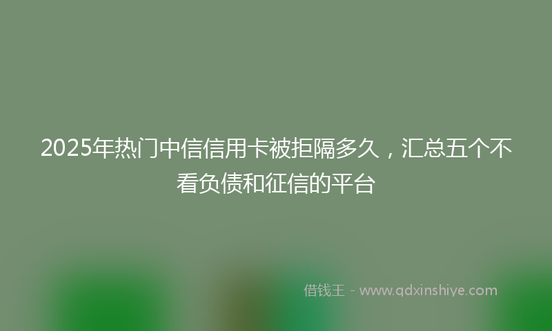 2025年热门中信信用卡被拒隔多久，汇总五个不看负债和征信的平台