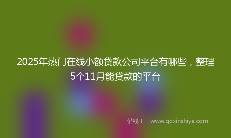 2025年热门在线小额贷款公司平台有哪些，整理5个11月能贷款的平台