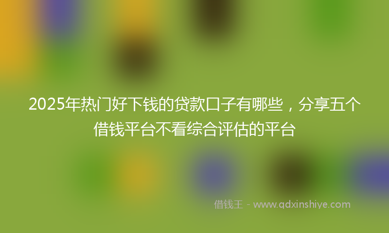 2025年热门好下钱的贷款口子有哪些，分享五个借钱平台不看综合评估的平台