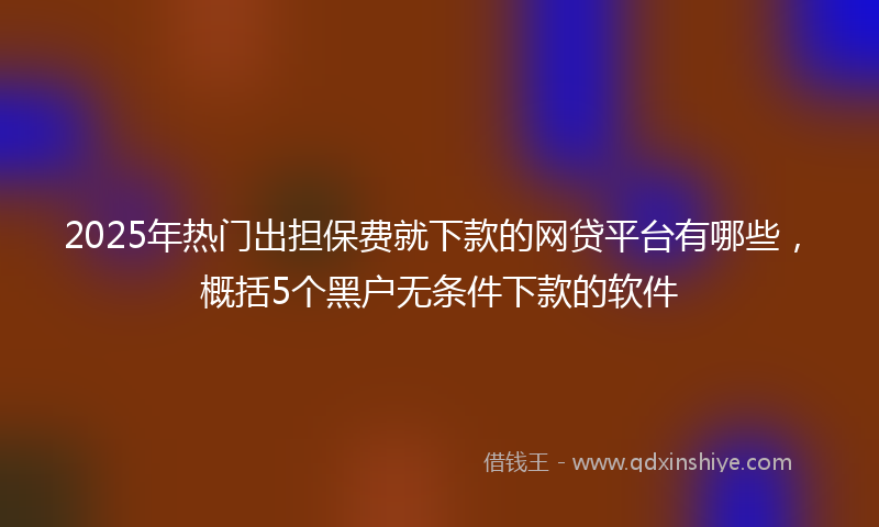 2025年热门出担保费就下款的网贷平台有哪些，概括5个黑户无条件下款的软件