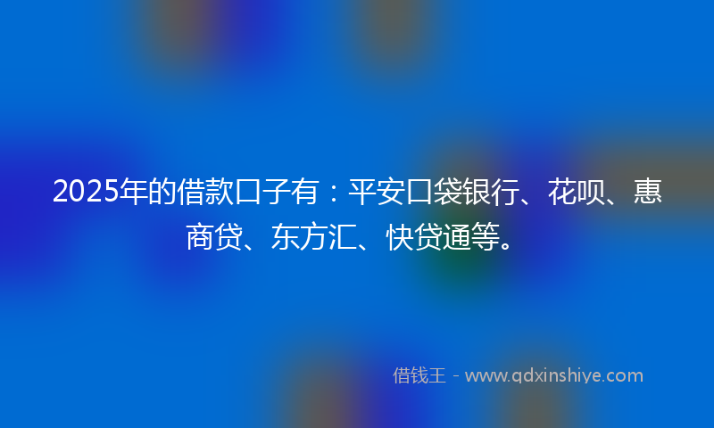 2025年的借款口子有：平安口袋银行、花呗、惠商贷、东方汇、快贷通等。