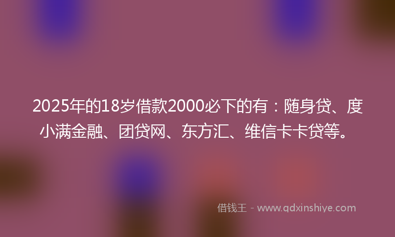 2025年的18岁借款2000必下的有：随身贷、度小满金融、团贷网、东方汇、维信卡卡贷等。