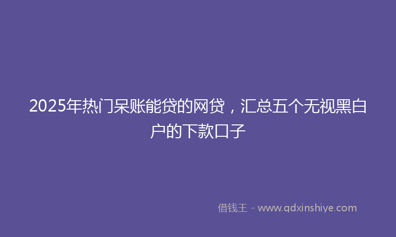 2025年热门呆账能贷的网贷，汇总五个无视黑白户的下款口子