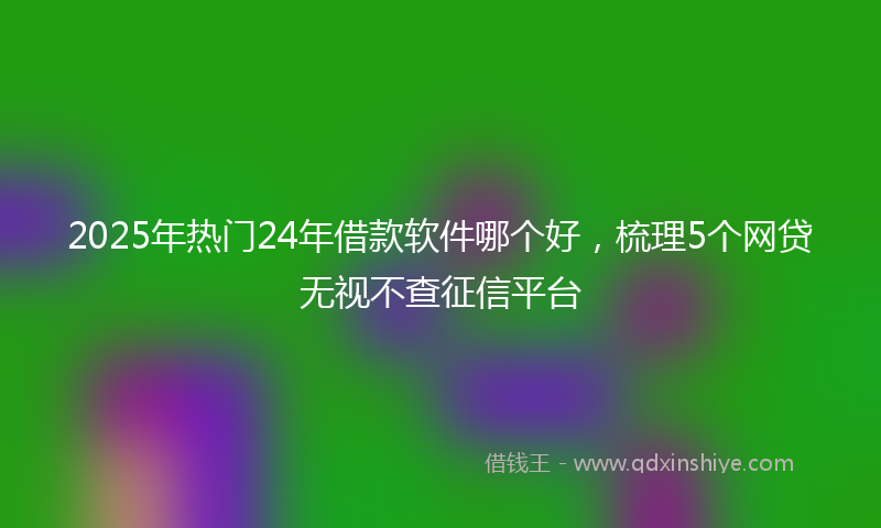 2025年热门24年借款软件哪个好，梳理5个网贷无视不查征信平台
