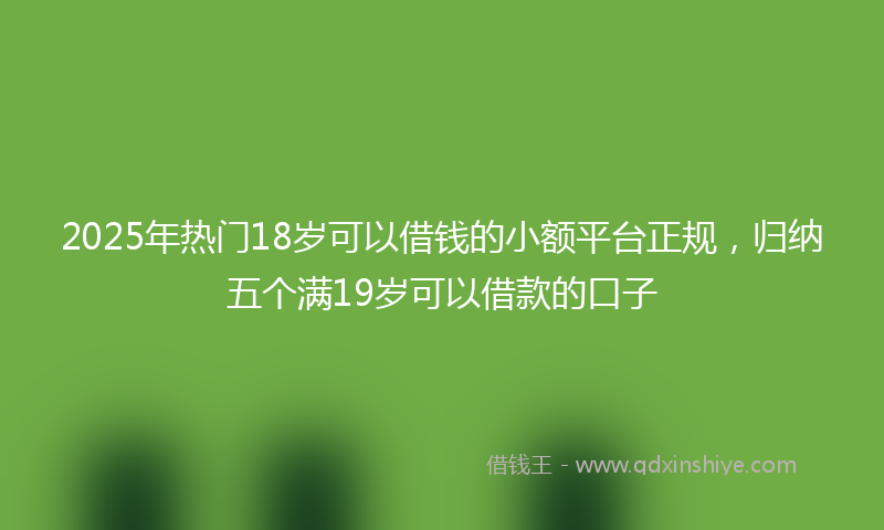 2025年热门18岁可以借钱的小额平台正规，归纳五个满19岁可以借款的口子