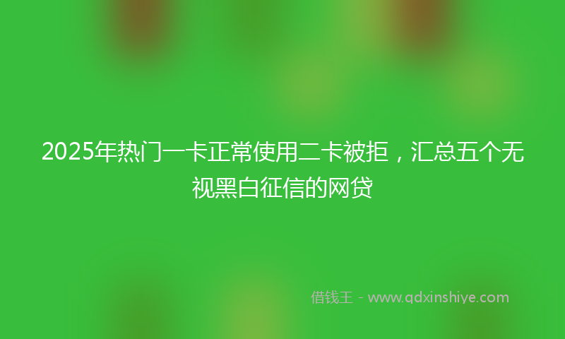 2025年热门一卡正常使用二卡被拒，汇总五个无视黑白征信的网贷