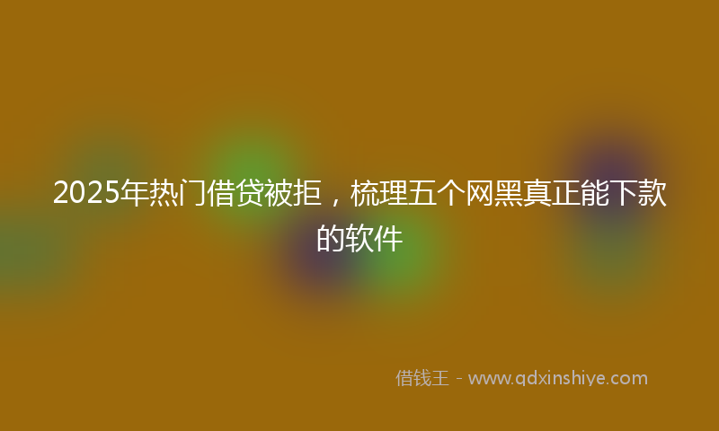 2025年热门借贷被拒，梳理五个网黑真正能下款的软件