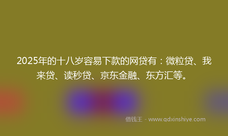 2025年的十八岁容易下款的网贷有：微粒贷、我来贷、读秒贷、京东金融、东方汇等。