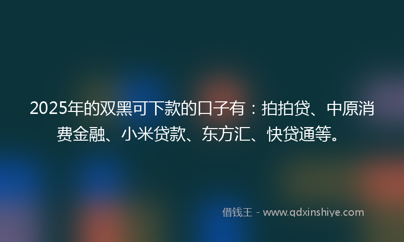 2025年的双黑可下款的口子有：拍拍贷、中原消费金融、小米贷款、东方汇、快贷通等。
