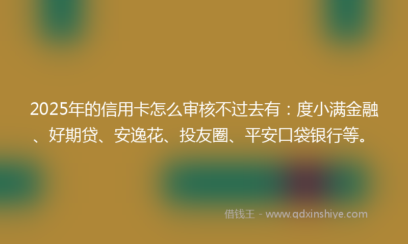 2025年的信用卡怎么审核不过去有：度小满金融、好期贷、安逸花、投友圈、平安口袋银行等。
