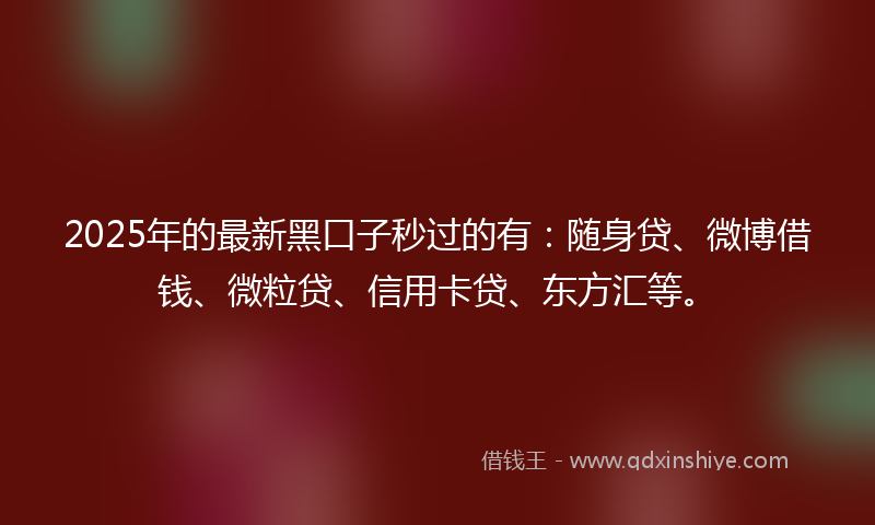 2025年的最新黑口子秒过的有：随身贷、微博借钱、微粒贷、信用卡贷、东方汇等。